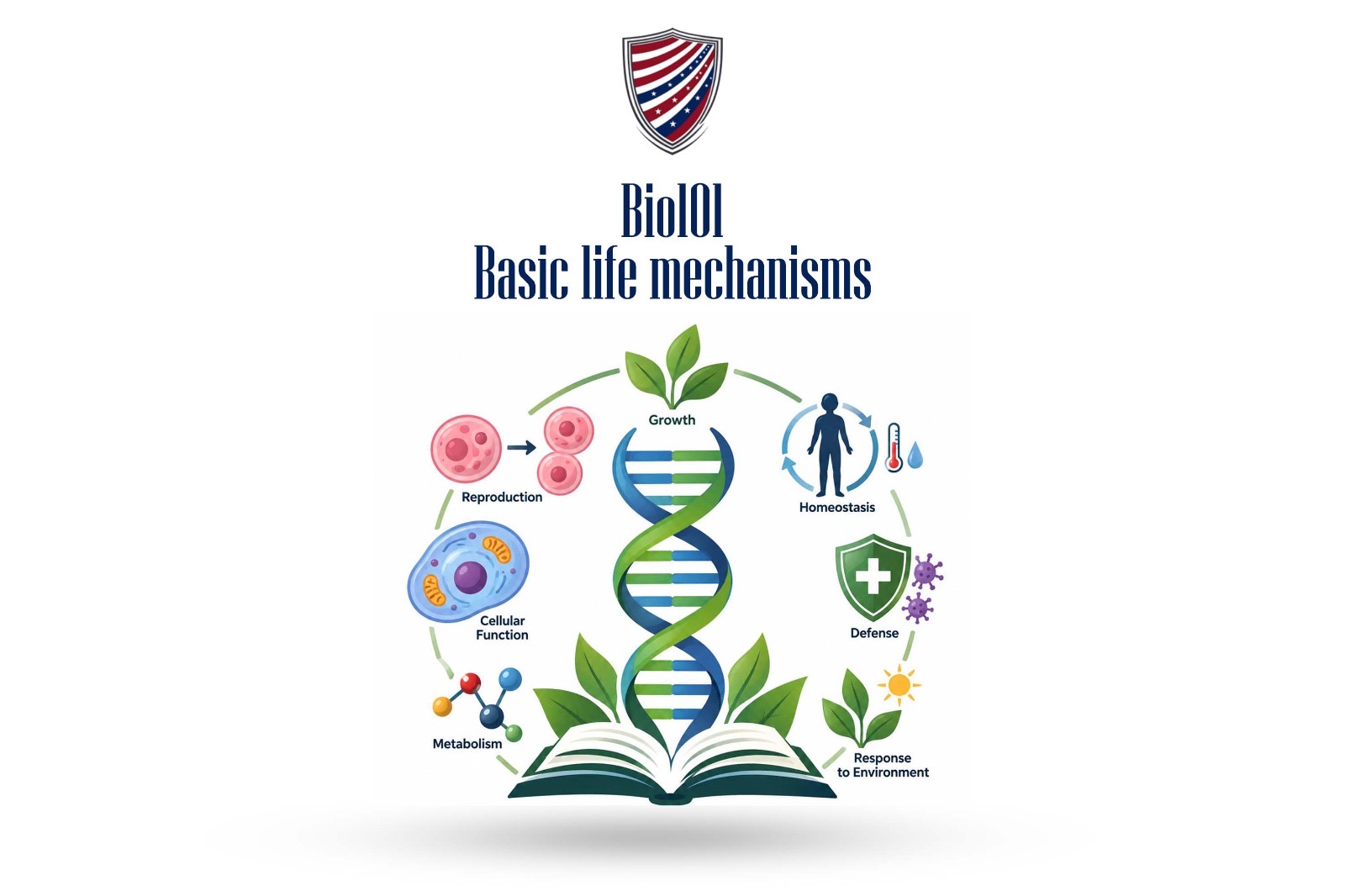 Basic life mechanisms 
