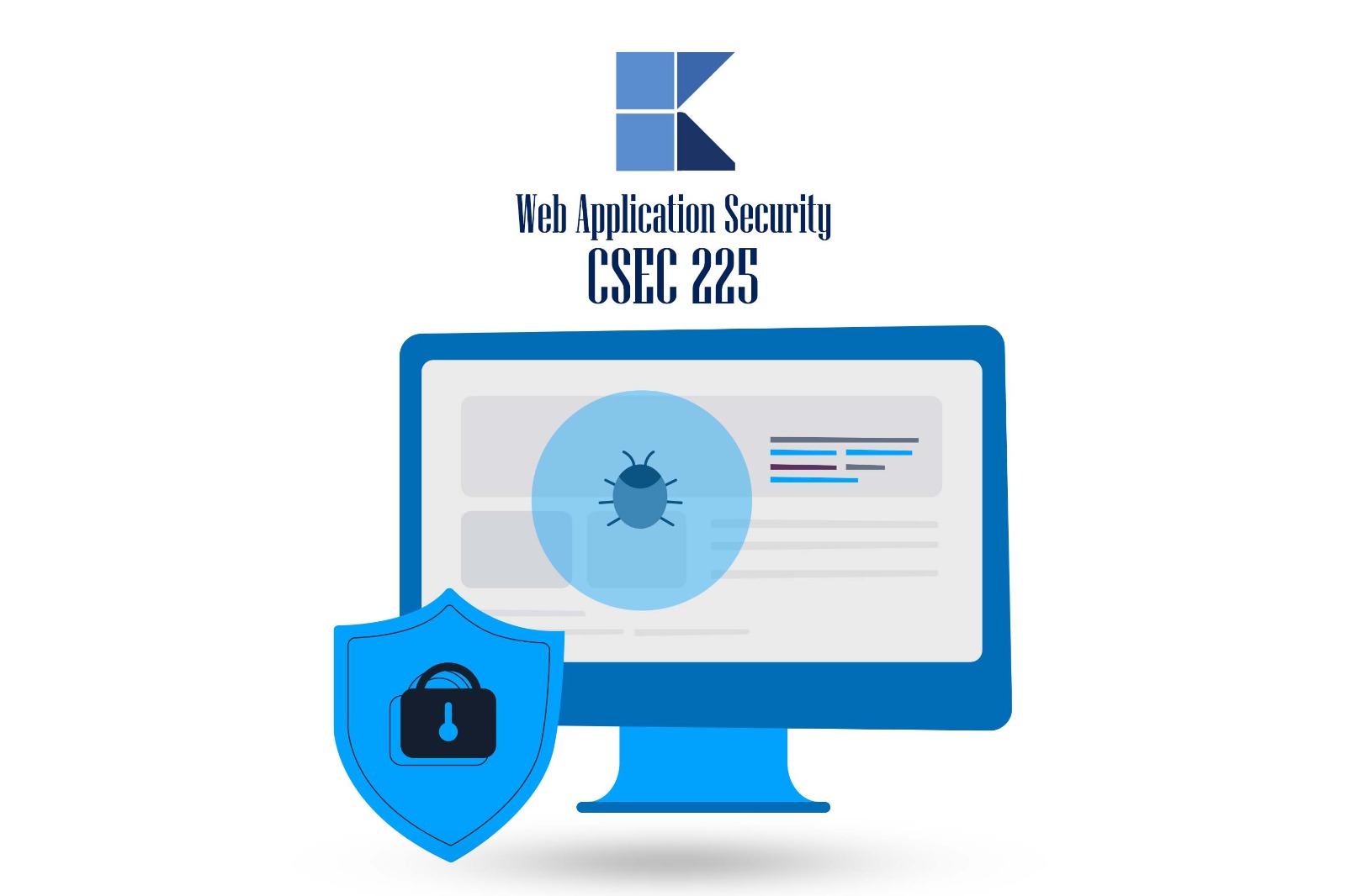 Web application security 