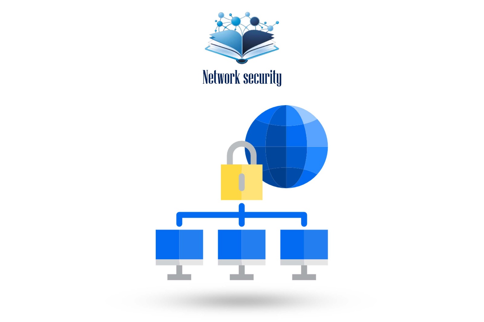 Network security 