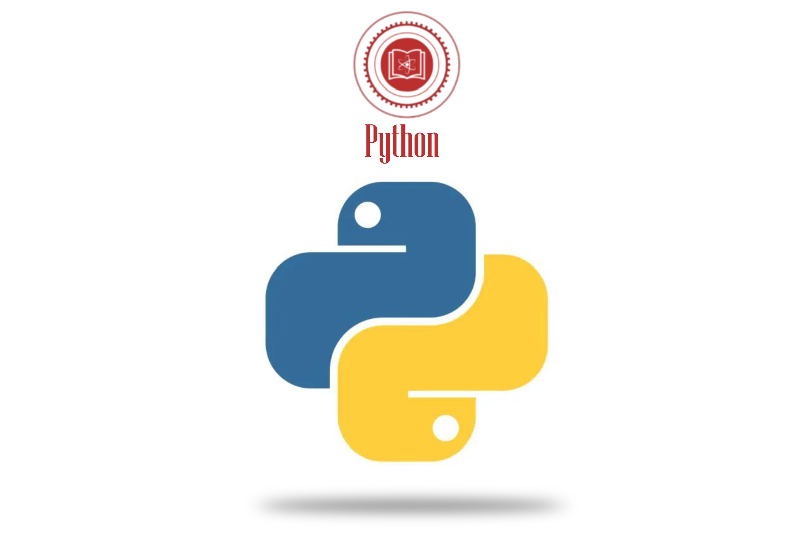 Python 