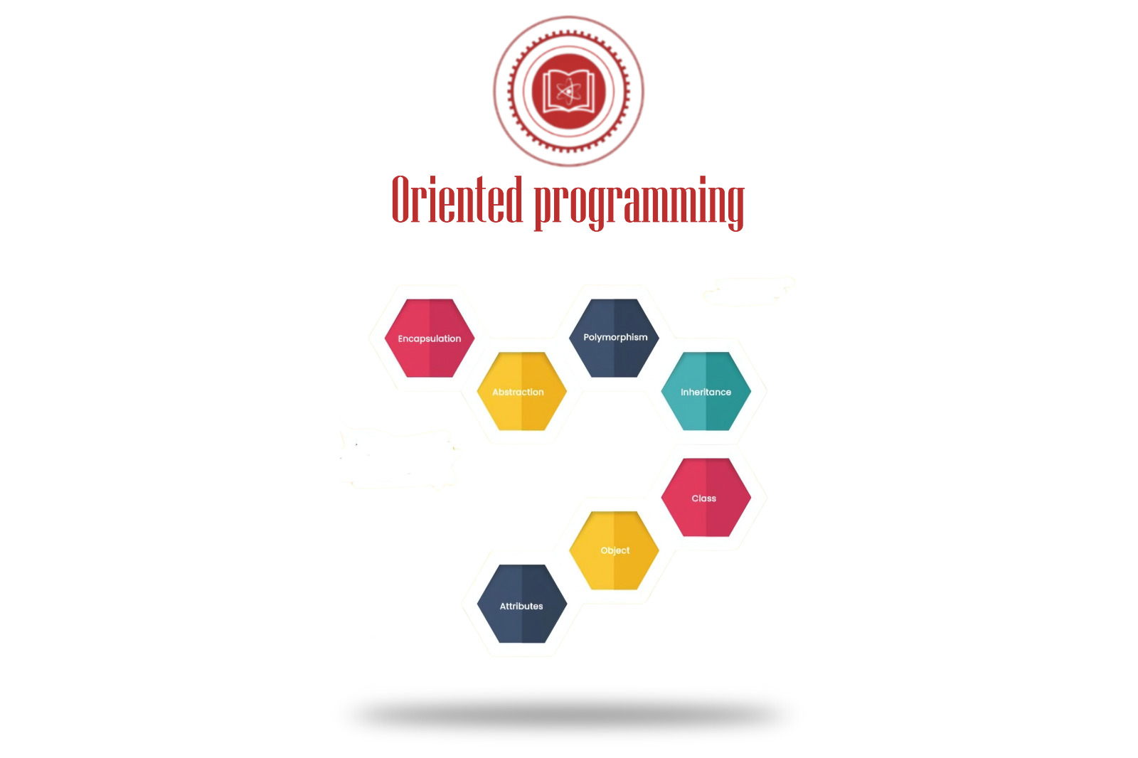 Object - oriented programming 