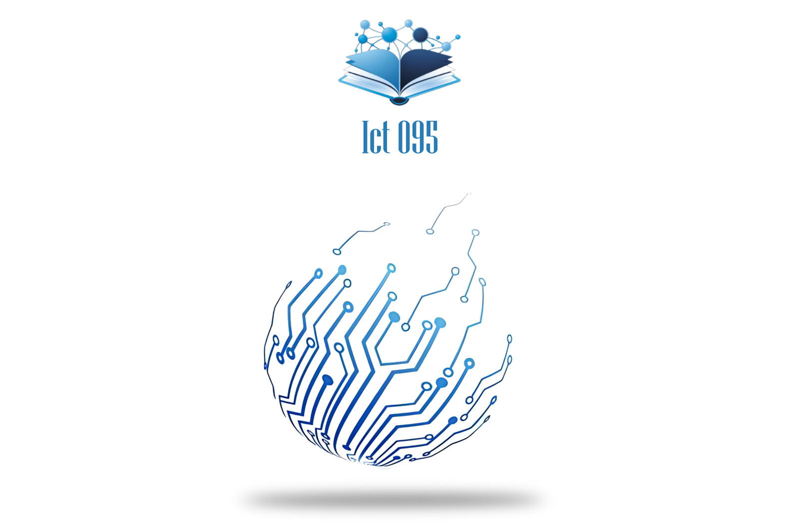 DPS 095