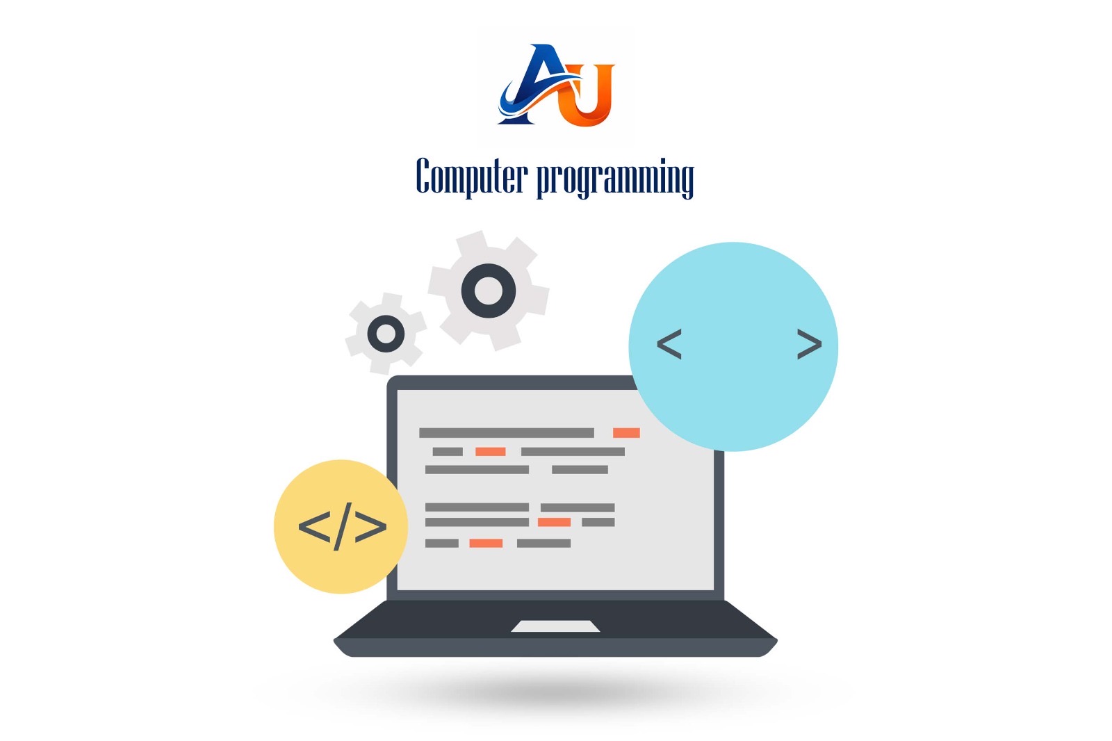 Computer programming 